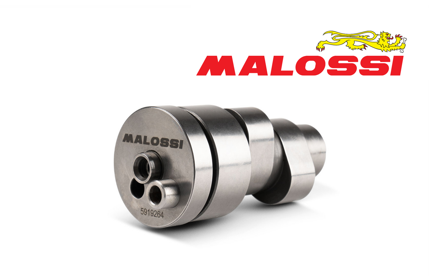 Malossi Power Cam Shaft for Italjet Dragster 300