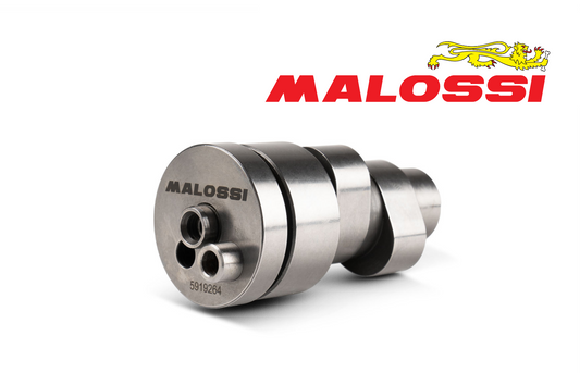 Malossi Power Cam Shaft for Italjet Dragster 300